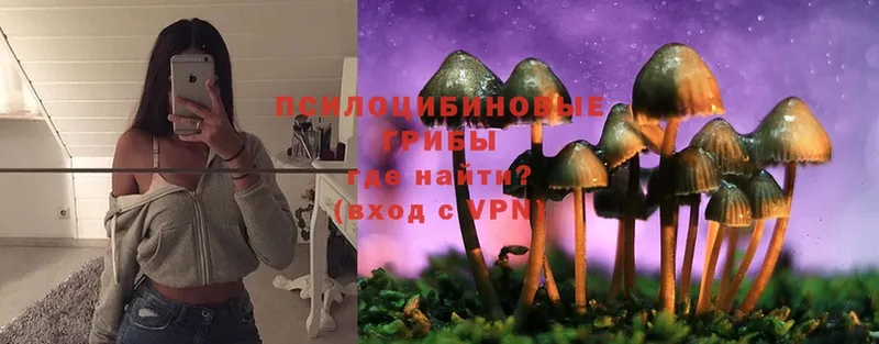 Галлюциногенные грибы MAGIC MUSHROOMS  гидра   Белинский 